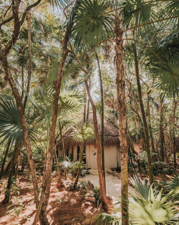 Art Village Tulum Dış mekan fotoğraf